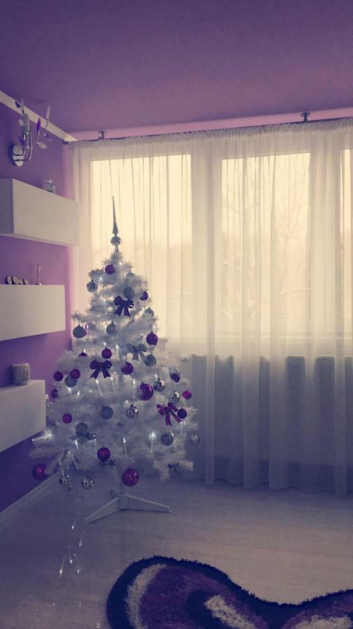 Apartament 2 Camere Bükreş Dış mekan fotoğraf